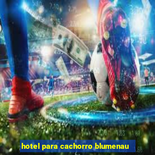 hotel para cachorro blumenau